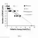 Fig. 04 - Surface stabilized cathode material for lithium ion batteries and synthesizing method of the same
