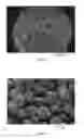 Fig. 05 - Surface stabilized cathode material for lithium ion batteries and synthesizing method of the same