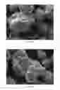 Fig. 13 - Surface stabilized cathode material for lithium ion batteries and synthesizing method of the same