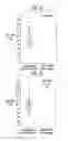 Fig. 06 - Display window and manufacturing method thereof