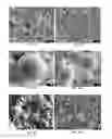 Fig. 05 - Fly ash cementitious compositions
