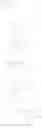 Fig. 47 - Human TLR8-selective agonists