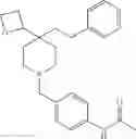 Fig. 167 - Polycyclic amines as opioid receptor modulators