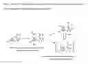 Fig. 02 - 5-SULFANYLHISTIDINES AND THEIR DISULFIDES AND METHOD OF PREPARATION THEREOF