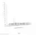 Fig. 02 - Process for the preparation of Daclatasvir dihydrochloride and its intermediates