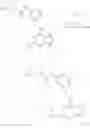 Fig. 239 - Pyrazolo[1,5-A][1,3,5]Triazine and Pyrazolo[1,5-A]Pyrimidine Derivatives as CDK Inhibitors