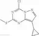 Fig. 28 - Pyrazolo[1,5-A][1,3,5]Triazine and Pyrazolo[1,5-A]Pyrimidine Derivatives as CDK Inhibitors