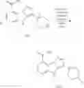 Fig. 08 - Salt type and crystal type of 4H-pyrazolo [1, 5-alpha] benzimidazole compound and preparation method and intermediate thereof