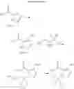 Fig. 22 - 6,7-dihydropyrazolo[1,5-α]pyrazin-4(5H)-one compounds and their use as negative allosteric modulators of mGluR2 receptors