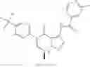 Fig. 362 - 6,7-dihydropyrazolo[1,5-α]pyrazin-4(5H)-one compounds and their use as negative allosteric modulators of mGluR2 receptors