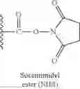 Fig. 02 - Labeled chemically reactive and biologically active conjugates, and methods and compositions thereof