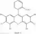 Fig. 85 - Labeled chemically reactive and biologically active conjugates, and methods and compositions thereof