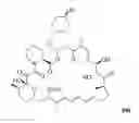 Fig. 01 - RAPAMYCIN ANALOGS SHOWING IMPROVED mTORC1 SPECIFICITY