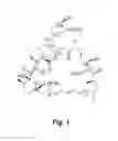 Fig. 02 - RAPAMYCIN ANALOGS SHOWING IMPROVED mTORC1 SPECIFICITY