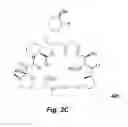 Fig. 04 - RAPAMYCIN ANALOGS SHOWING IMPROVED mTORC1 SPECIFICITY