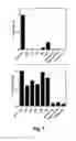 Fig. 07 - RAPAMYCIN ANALOGS SHOWING IMPROVED mTORC1 SPECIFICITY