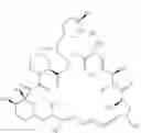 Fig. 32 - RAPAMYCIN ANALOGS SHOWING IMPROVED mTORC1 SPECIFICITY