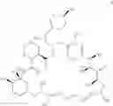 Fig. 33 - RAPAMYCIN ANALOGS SHOWING IMPROVED mTORC1 SPECIFICITY