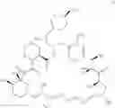 Fig. 37 - RAPAMYCIN ANALOGS SHOWING IMPROVED mTORC1 SPECIFICITY