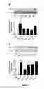 Fig. 04 - Highly efficient NRF2 activators-co-releasing molecule hybrids, their use in the treatment of inflammatory or cardiovascular diseases and their process of preparation
