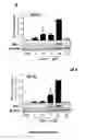 Fig. 06 - Highly efficient NRF2 activators-co-releasing molecule hybrids, their use in the treatment of inflammatory or cardiovascular diseases and their process of preparation
