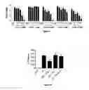 Fig. 08 - Highly efficient NRF2 activators-co-releasing molecule hybrids, their use in the treatment of inflammatory or cardiovascular diseases and their process of preparation
