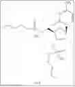 Fig. 07 - ANTIMICROBIAL COMPOUNDS, COMPOSITIONS, AND USES THEREOF