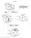 Fig. 07 - RECOMBINANT SUPER-COMPOUND INTERFERON AND USES THEREOF