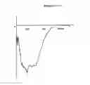 Fig. 08 - RECOMBINANT SUPER-COMPOUND INTERFERON AND USES THEREOF