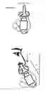 Fig. 19 - RECOMBINANT SUPER-COMPOUND INTERFERON AND USES THEREOF