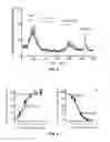 Fig. 04 - GIP peptide analogues