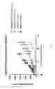 Fig. 07 - Fibronectin type III domain-based fusion proteins