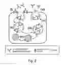 Fig. 03 - Antigen-binding molecule capable of binding to plurality of antigen molecules repeatedly