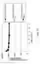 Fig. 32 - Antigen-binding molecule capable of binding to plurality of antigen molecules repeatedly