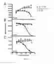 Fig. 04 - Specific interleukin-15 (IL-15) antagonist polypeptide and uses thereof for the treatment of inflammatory and auto-immune diseases