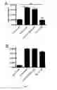 Fig. 09 - Specific interleukin-15 (IL-15) antagonist polypeptide and uses thereof for the treatment of inflammatory and auto-immune diseases