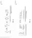 Fig. 02 - Bottlebrush polymers derived from poly(methylidenelactide)