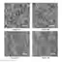 Fig. 16 - Block co-poly(metal organic nanostructures) (BCPMONs) and uses thereof