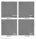 Fig. 17 - Block co-poly(metal organic nanostructures) (BCPMONs) and uses thereof