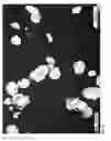 Fig. 19 - Powder coating and method for producing a powder coating