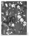 Fig. 27 - Powder coating and method for producing a powder coating