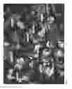 Fig. 29 - Powder coating and method for producing a powder coating