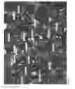 Fig. 30 - Powder coating and method for producing a powder coating