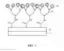 Fig. 02 - Composite structure