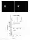 Fig. 07 - Method and device for detecting circulating tumor cell