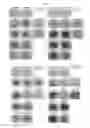 Fig. 06 - Method for producing retinal pigment epithelial cells