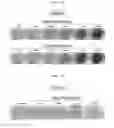 Fig. 09 - Method for producing retinal pigment epithelial cells