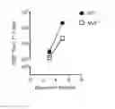 Fig. 01 - T cells modified to overexpress c-Myb