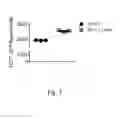 Fig. 08 - T cells modified to overexpress c-Myb