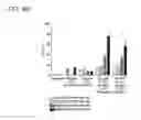 Fig. 11 - NK cells exhibiting an adaptive phenotype and methods for preparing and for using
